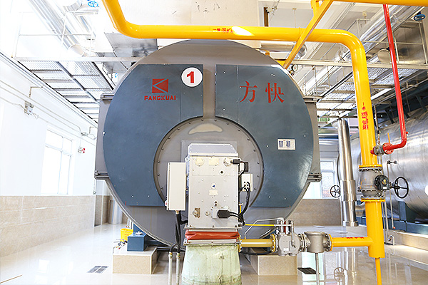 利民制藥有限公司4噸一體燃?xì)庹羝仩t案例